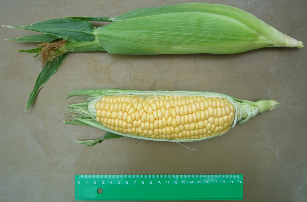 царевица Мама супер сладка