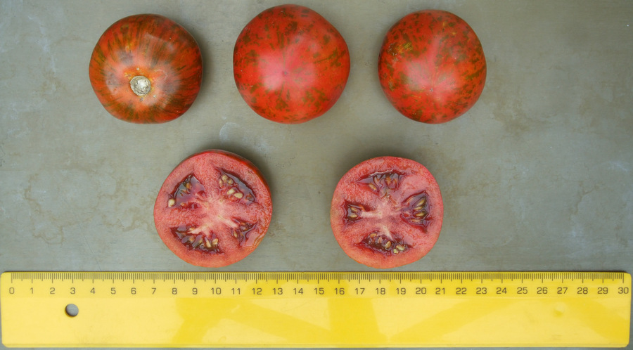 домат сорт Черна зебра