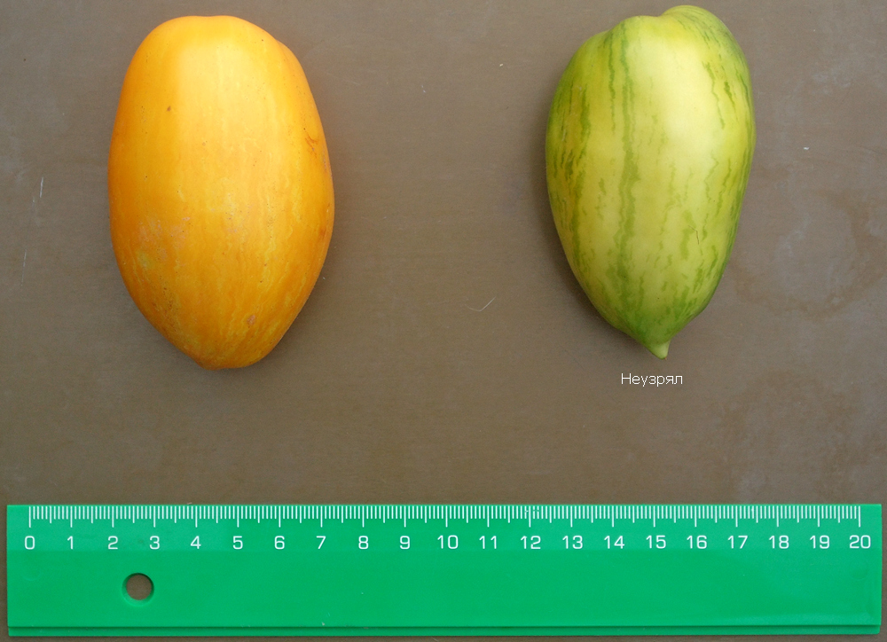 домат Йелоу спеклид рома