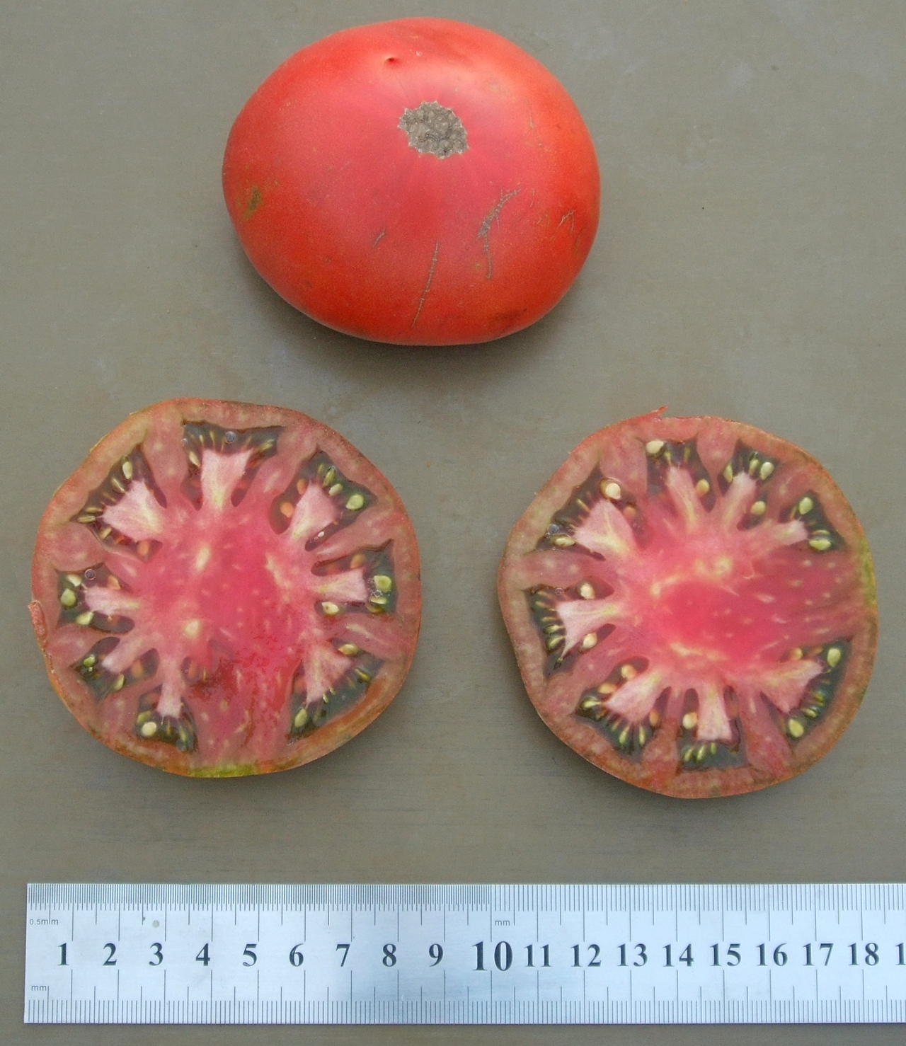 домат Пол Робсън