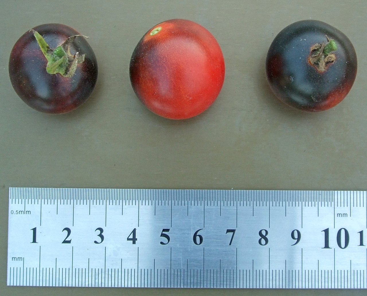 домат Смърфове