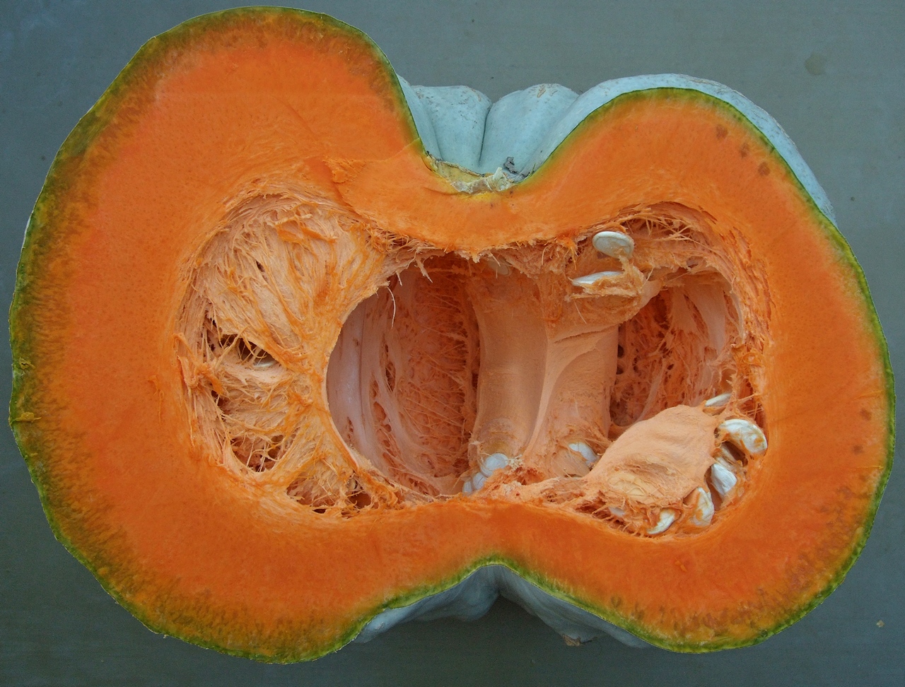 тиква Турски кестен 4